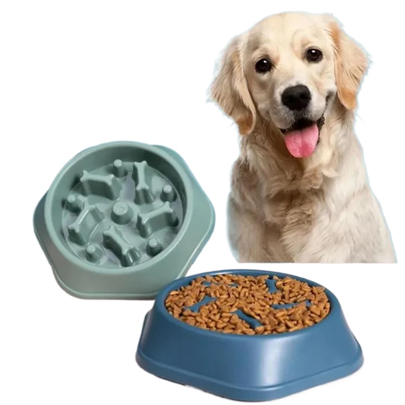 Gamelle anti-glissement pour c - Royal Canin Food Medium avis et prix