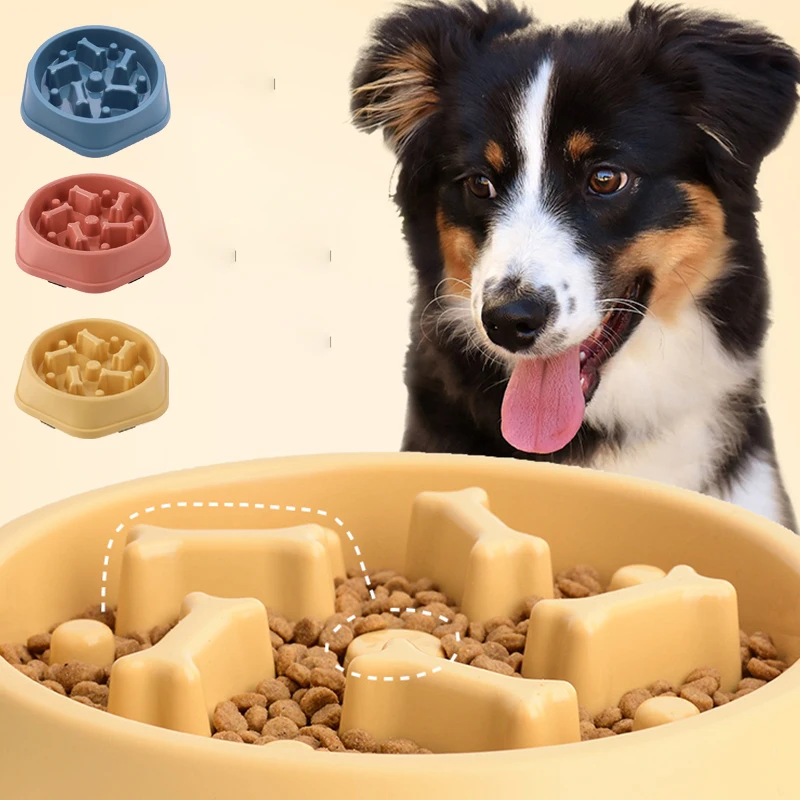 Gamelle anti-glissement pour c - Royal Canin Food Medium avis et prix